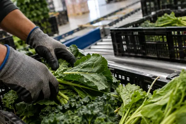 Inside GrowNYC’s Regional Food Hub: A New Route from Local Farms to City Shelves